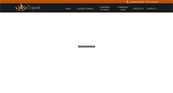 Desktop Screenshot of chimeneasmexico.com